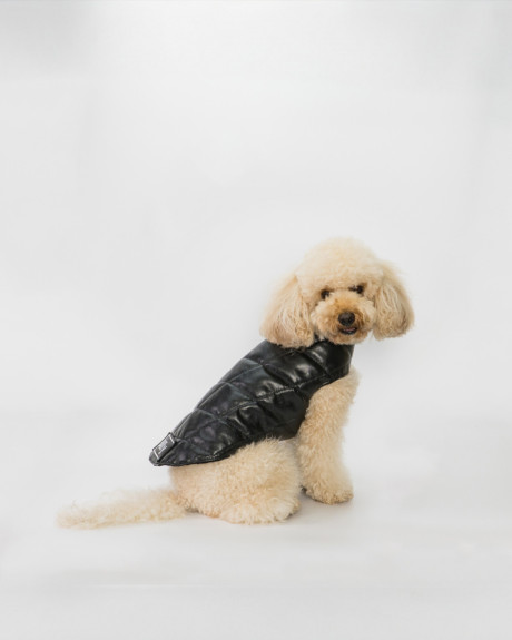 Cappottino in Pelle per Cani – Bau | Leather Trend