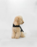Cappottino in Pelle per Cani – Bau | Leather Trend