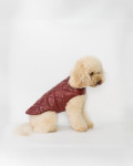 Leather Coat for Dogs – Bau | Leather Trend