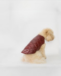 Leather Coat for Dogs – Bau | Leather Trend