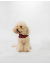 Cappottino in Pelle per Cani – Bau | Leather Trend