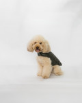 Cappottino in Pelle per Cani – Bau | Leather Trend