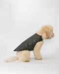 Leather Coat for Dogs – Bau | Leather Trend
