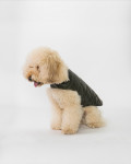 Cappottino in Pelle per Cani – Bau | Leather Trend